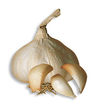 <p>Aglio bianco piacentino</p>