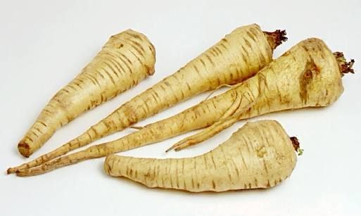 <p>Pastinaca</p>