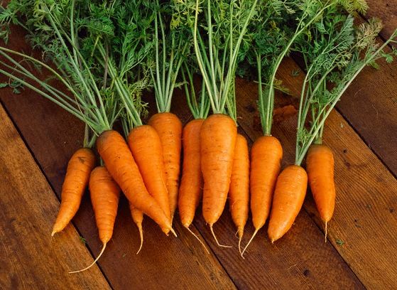 <p>Carota viola</p>