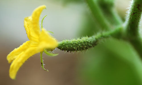 PHOTO GALLERY