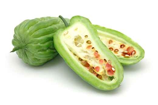 <p>Melone liscio</p>