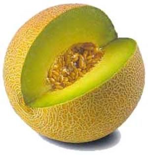 <p>Melone</p>