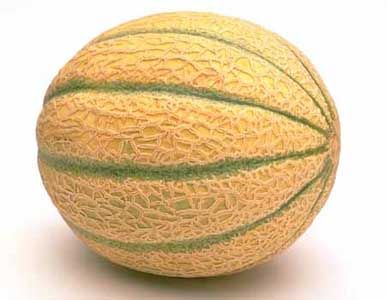 <p>Melone</p>
