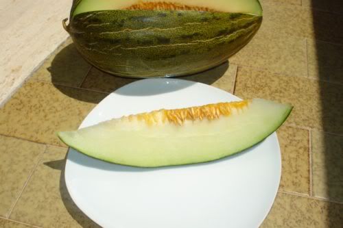 <p>Melone kiwi di Brindisi</p>