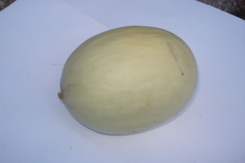 <p>Melone piel de sapo</p>