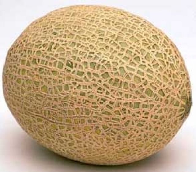 <p>Fiore di melone</p>