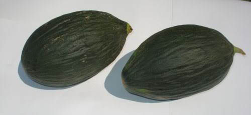 <p>Melone cantalupo di Charentais</p>