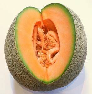<p>Melone</p>