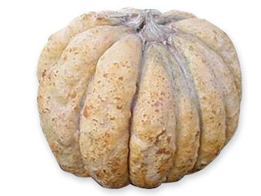 <p>Melone tiburzi</p>