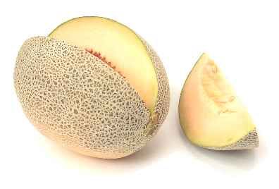 <p>Riposo tra i meloni</p>