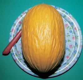 <p>Melone hales best jumbo</p>