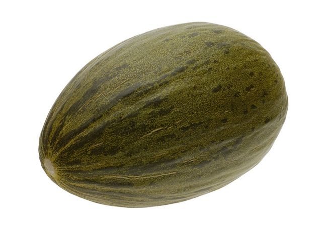 <p>Melone giallo di Napoli</p>