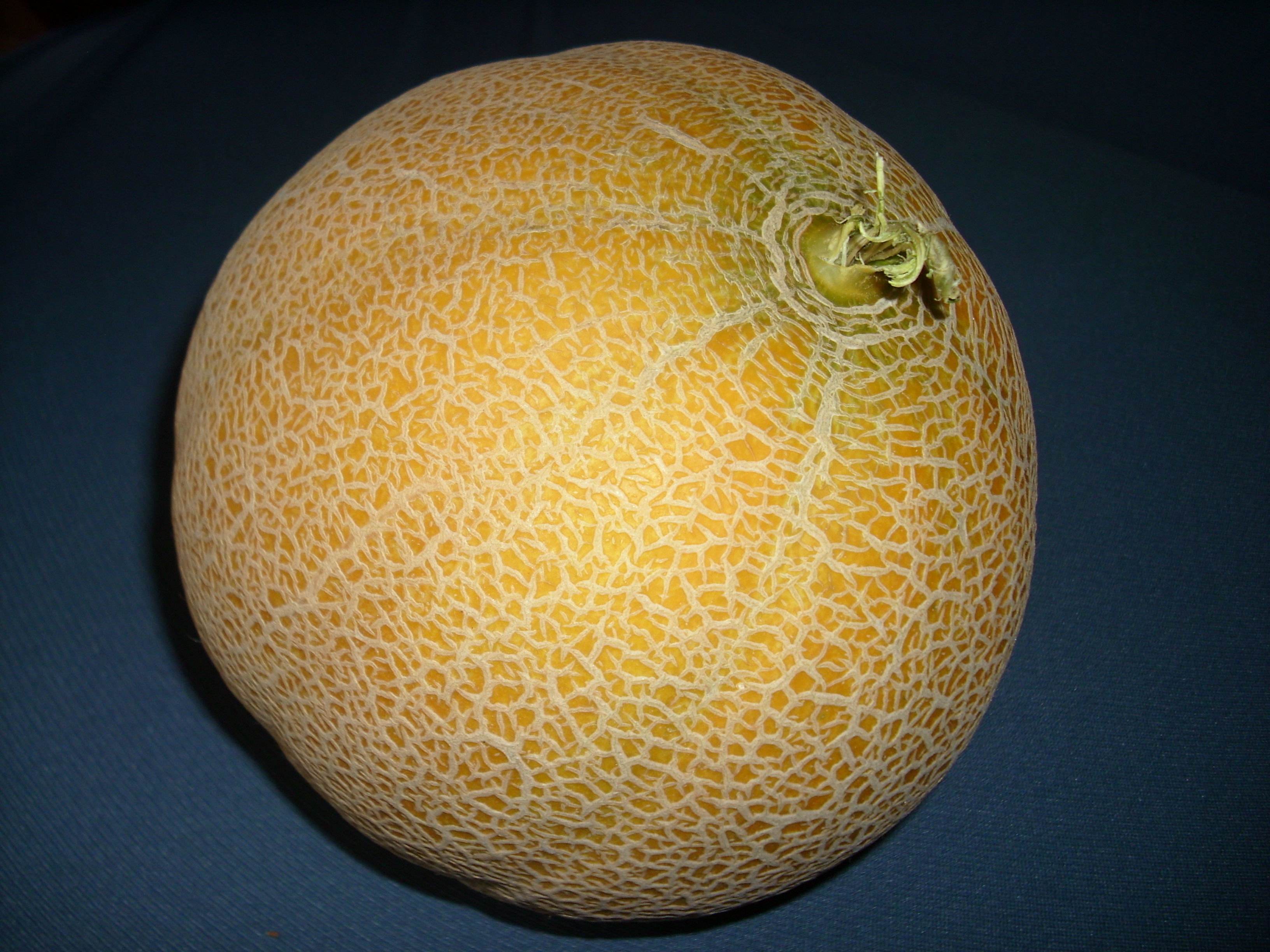 <p>Melone retato</p>