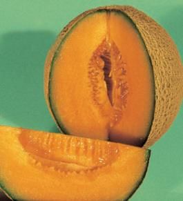 <p>Melone pink flesh</p>