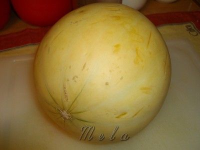 <p>Melone</p>