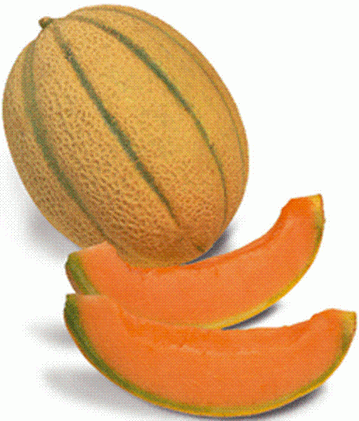 <p>Melone</p>