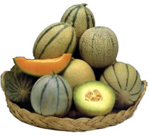 Melone o Popone