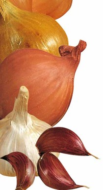 Aglio e Scalogno