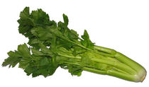 Sedano