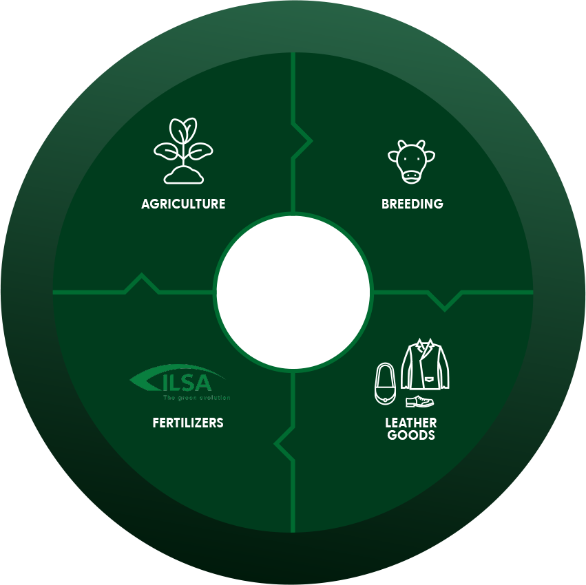 ILSA Group - Historical Timeline