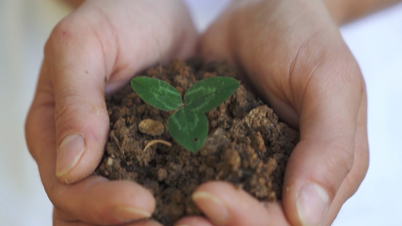 ILSA Group - Historical Timeline