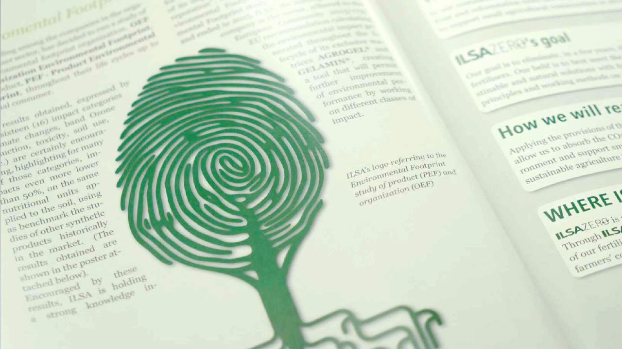 ILSA Group - Historical Timeline