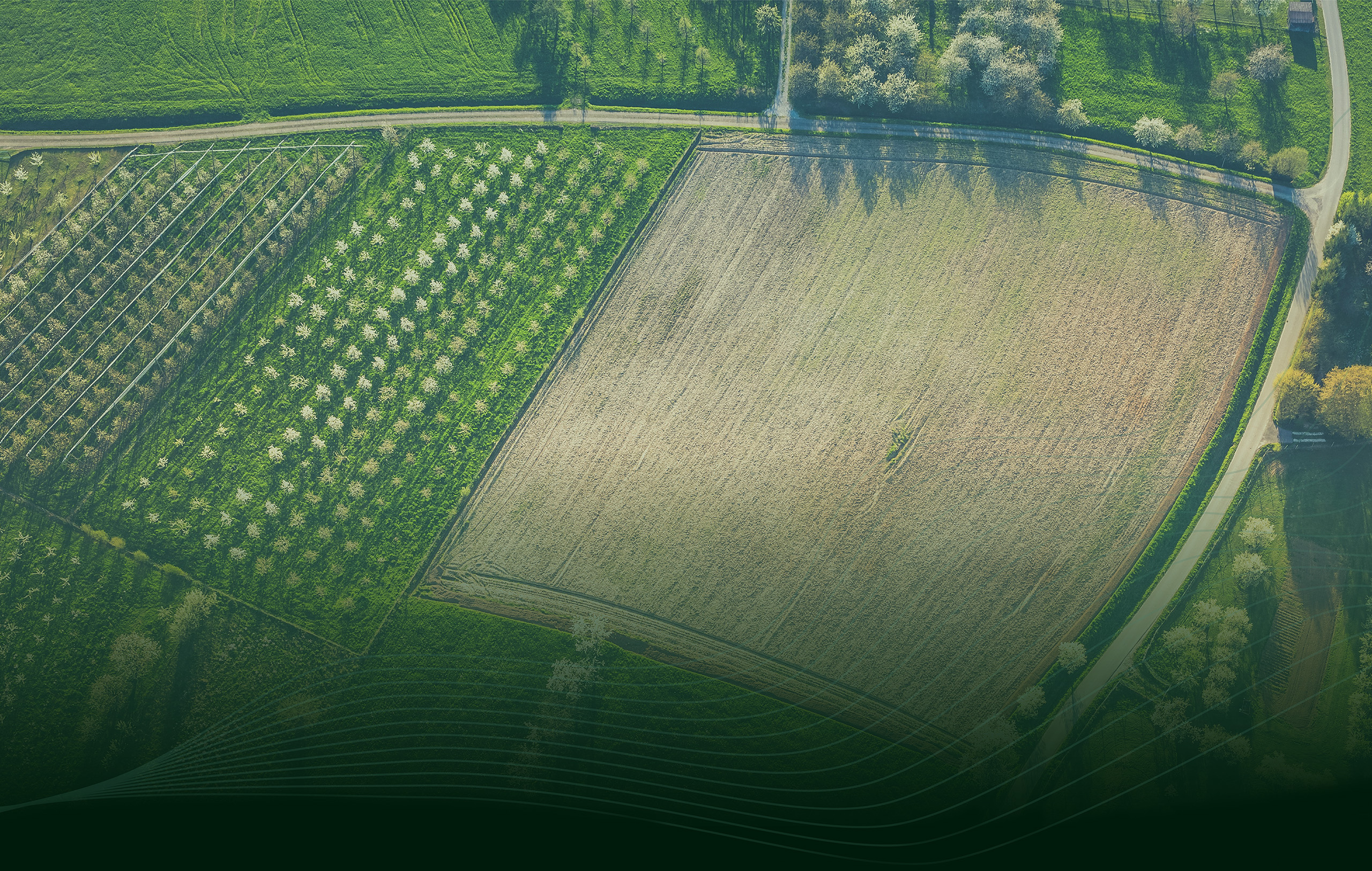 ILSA Group - Historical Timeline