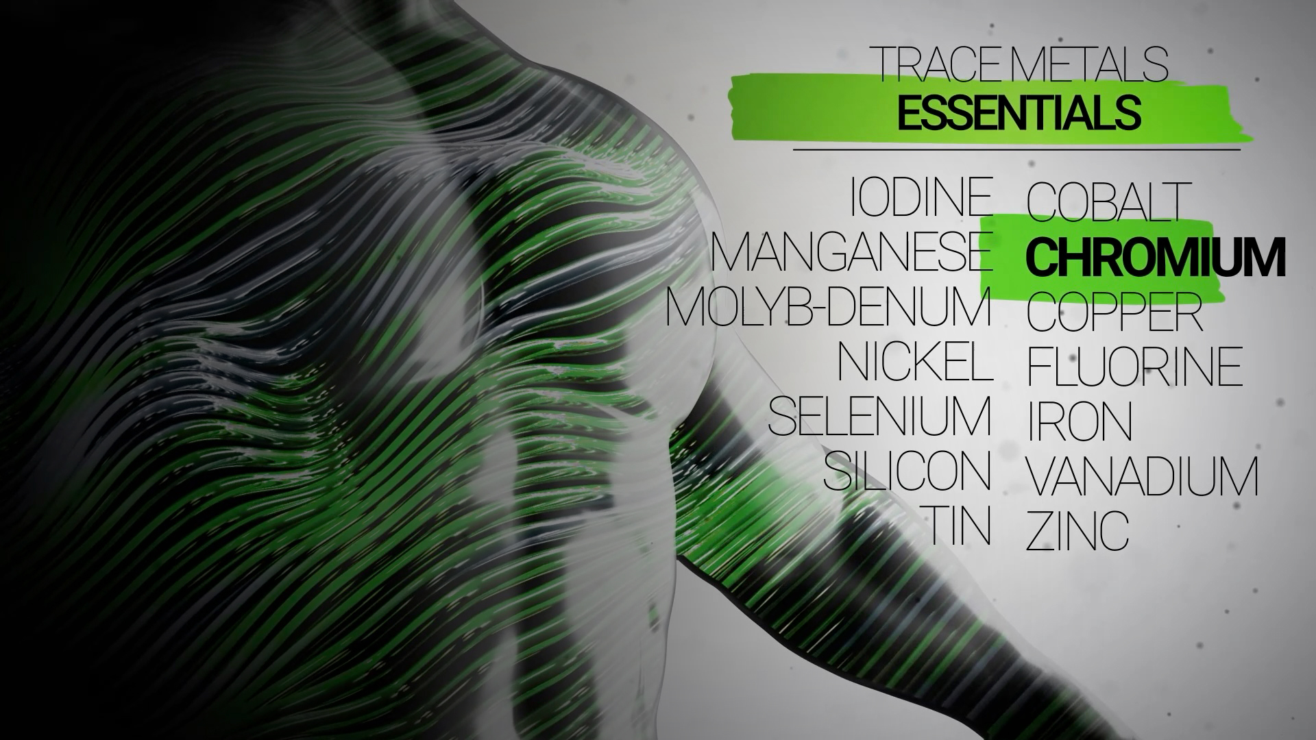 ILSA Group - Historical Timeline