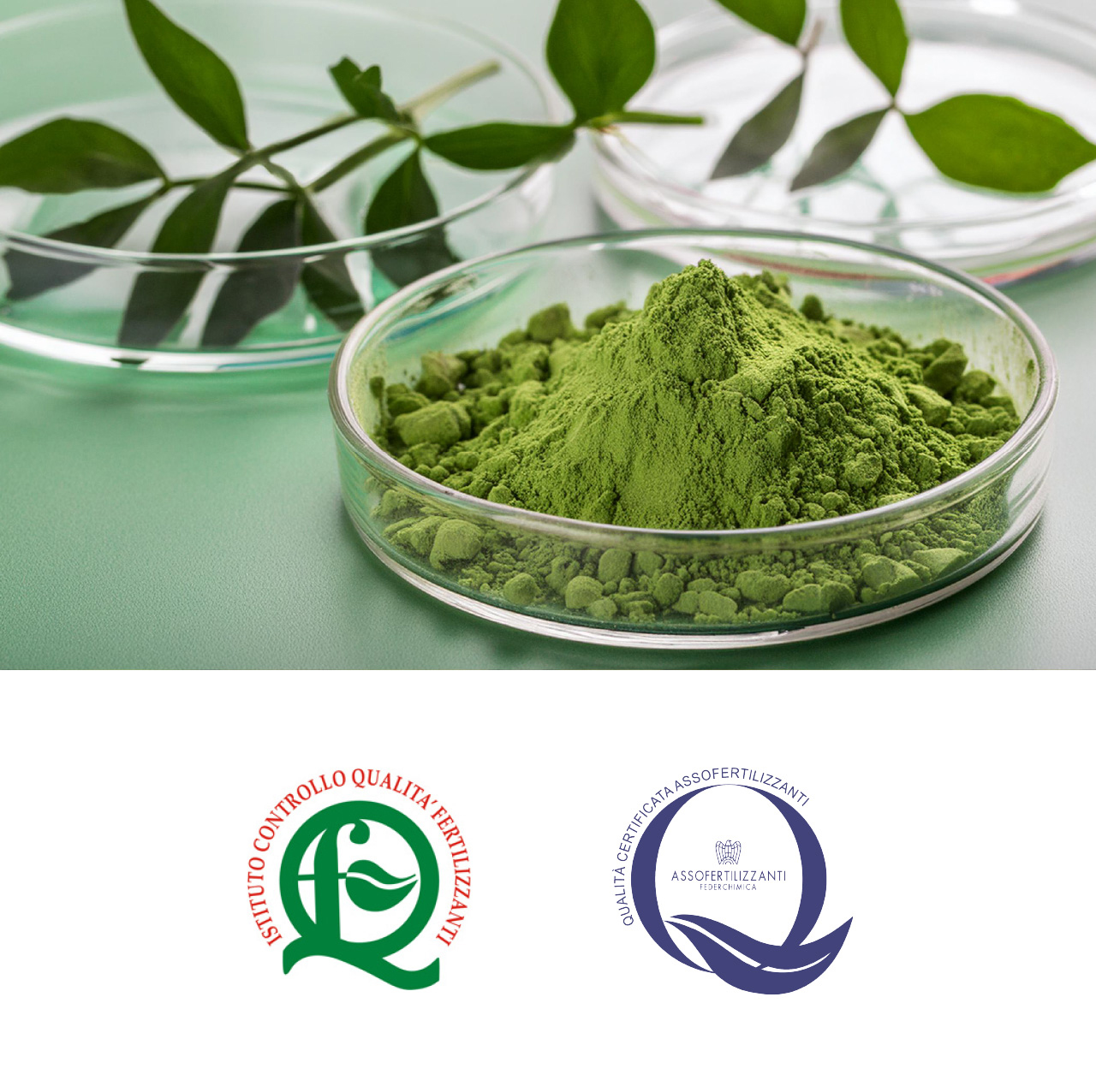 ILSA Group - Historical Timeline