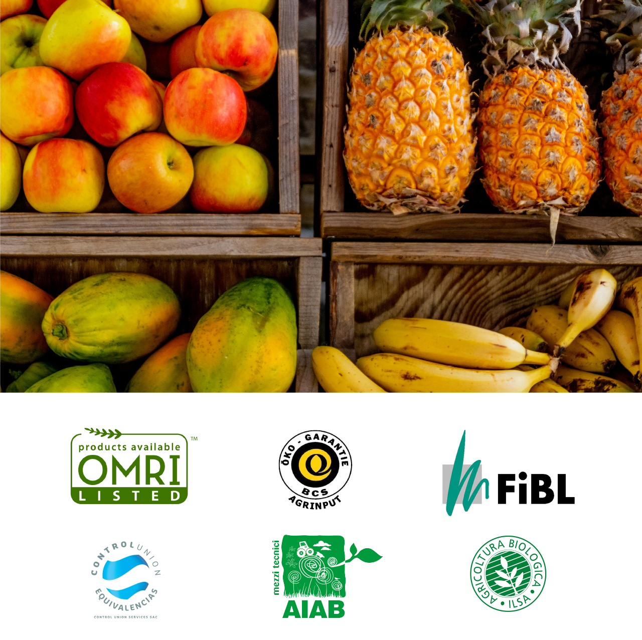 ILSA Group - Historical Timeline