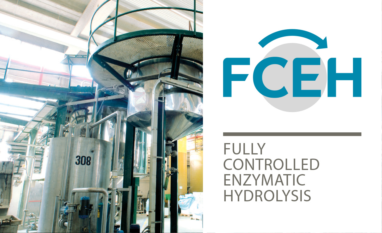 ILSA Group - Historical Timeline