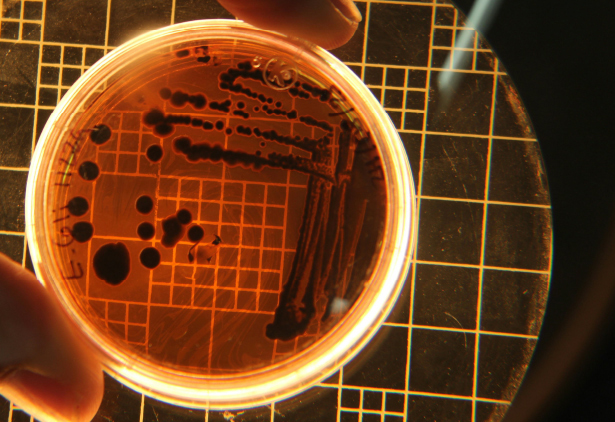 ILSA Group - Historical Timeline