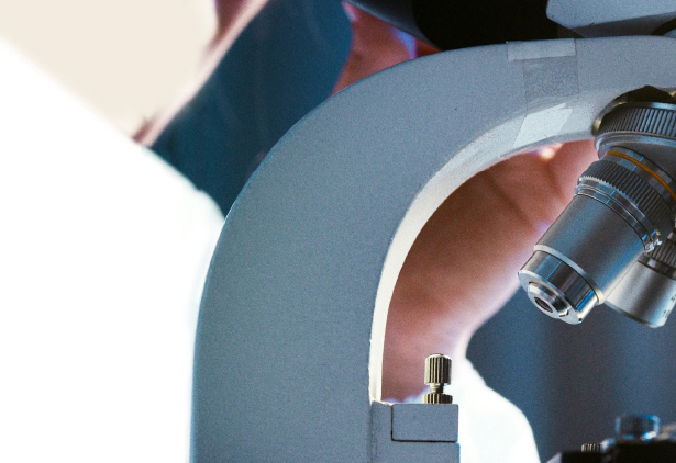 ILSA Group - Historical Timeline