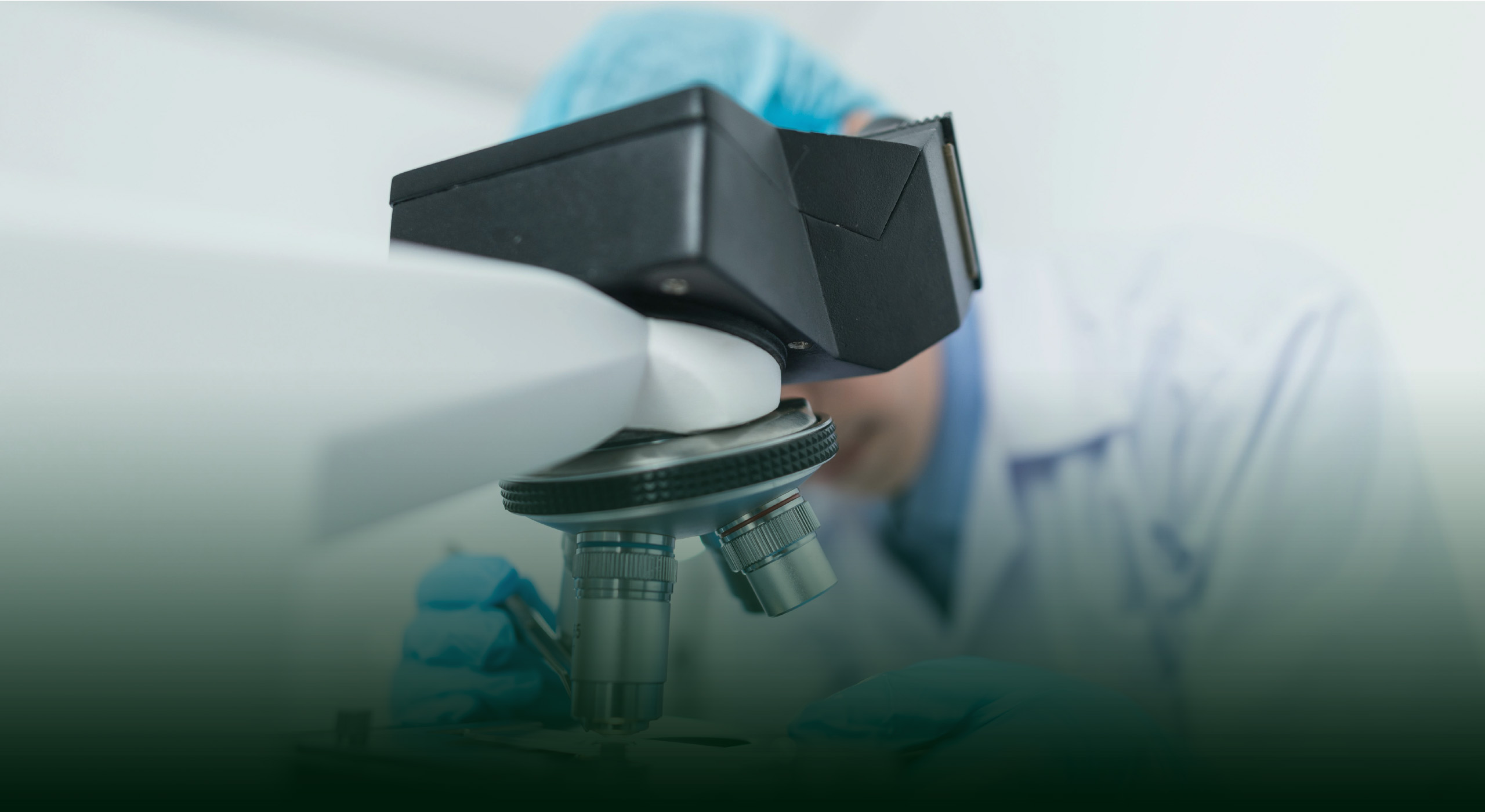 ILSA Group - Historical Timeline