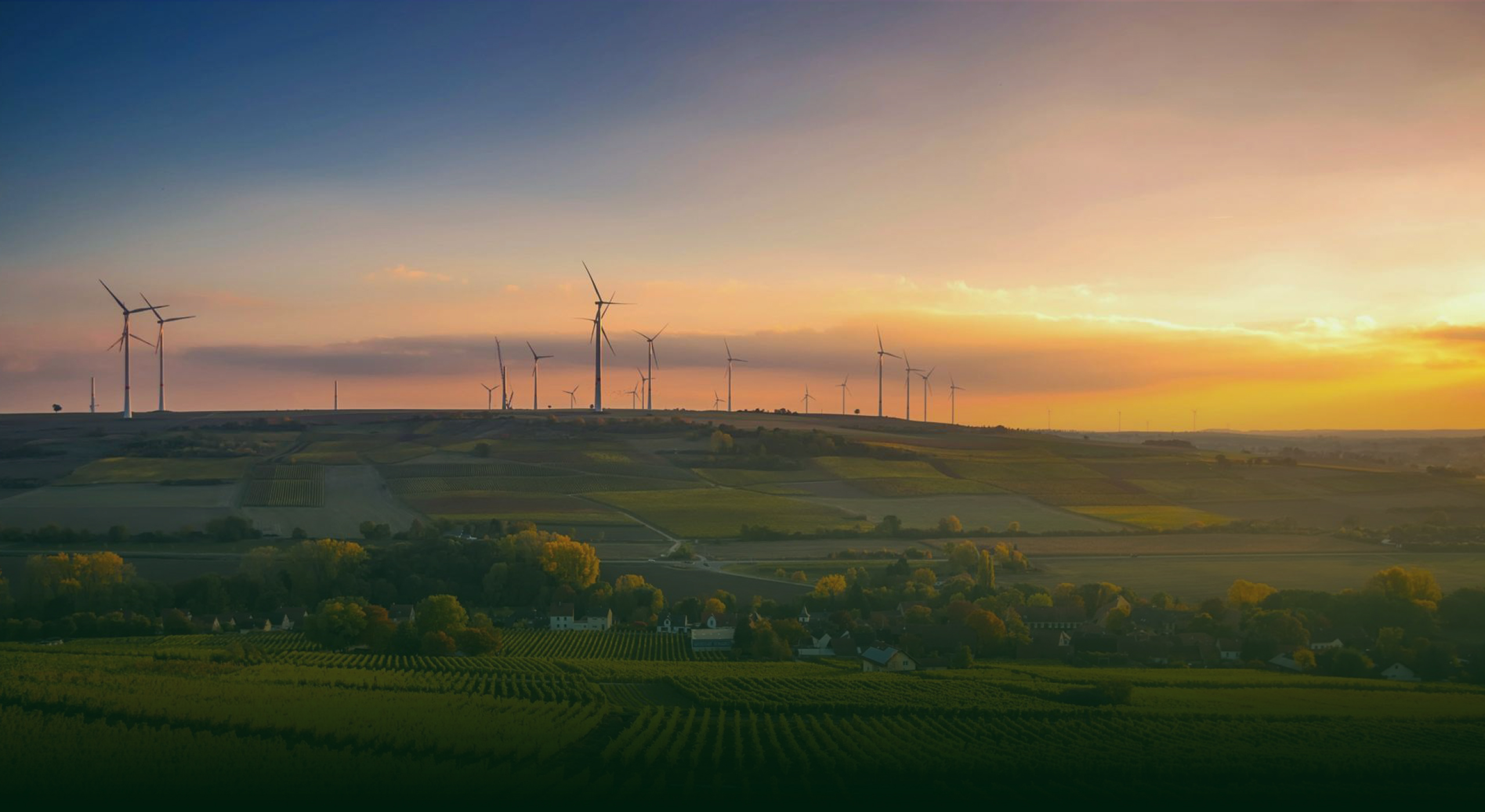 ILSA Group - Historical Timeline