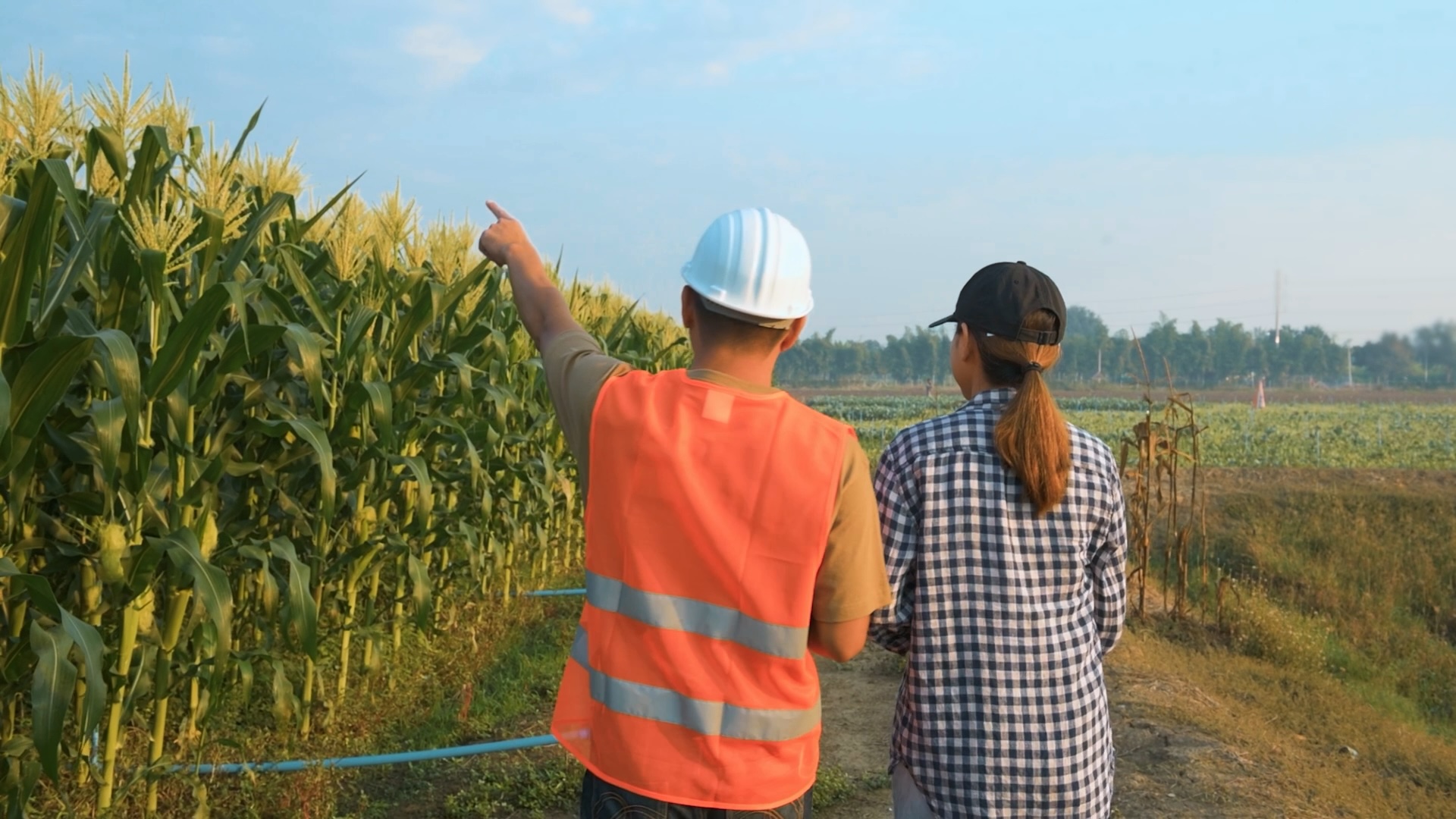 ILSA Group - Historical Timeline