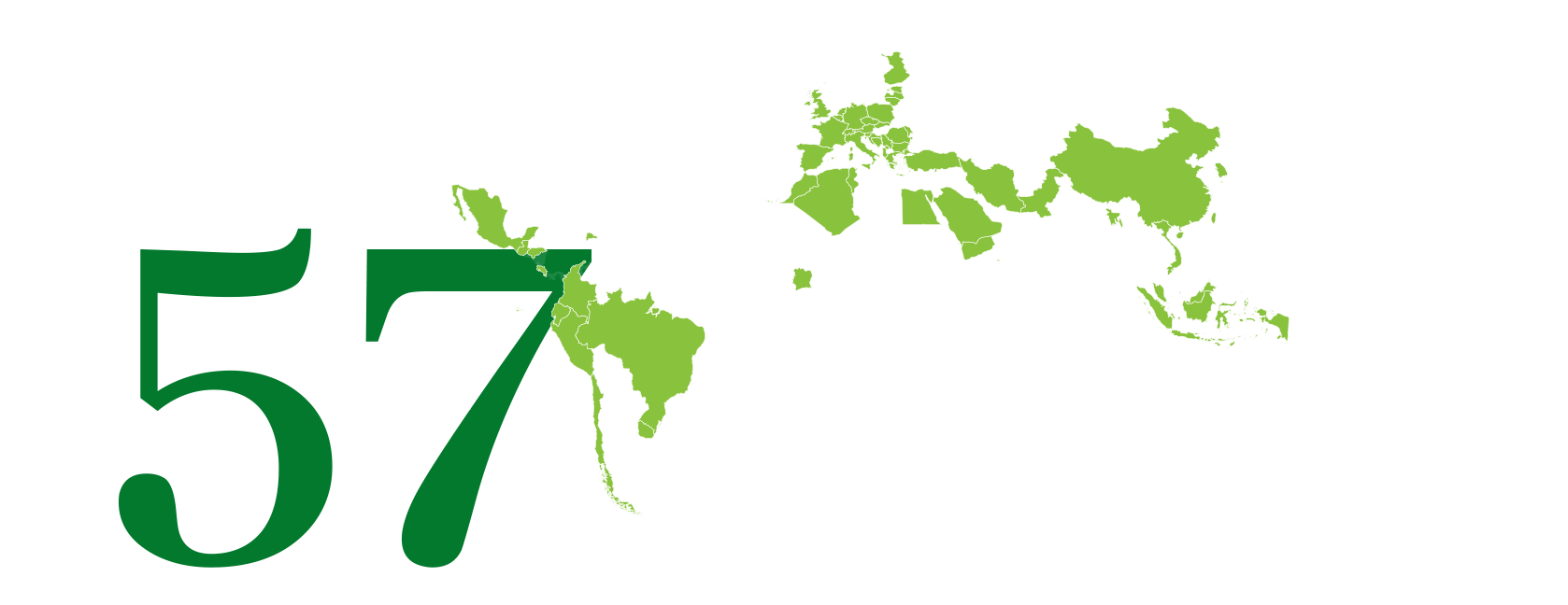 ILSA Group - Historical Timeline
