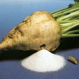Remolacha azucarera