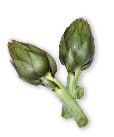 Carciofo