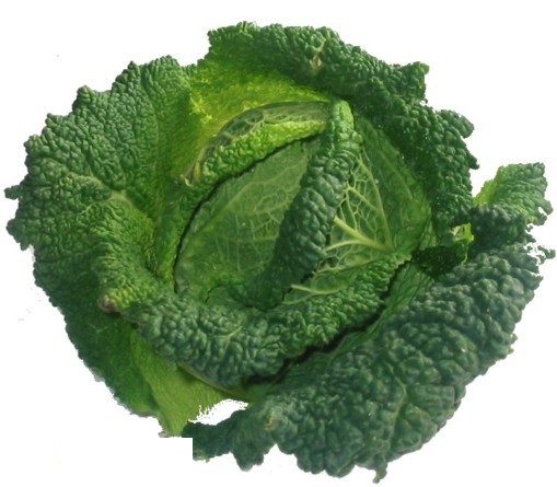 Col berza