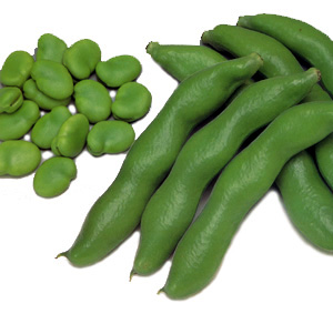 Fava