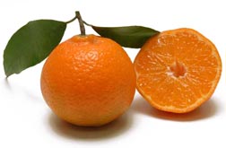 Mandarino