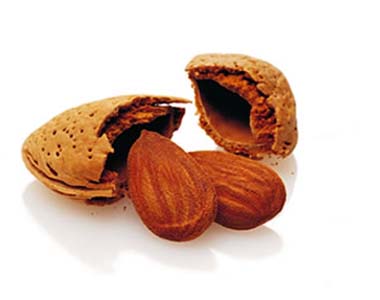 Mandorlo