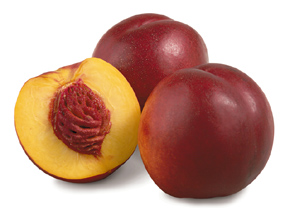 Nectarina