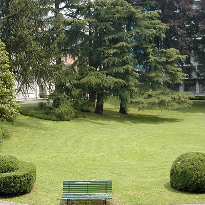 Nuovi impianti Arborei
