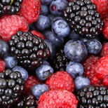 Fruit
