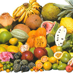 Tropical Crops
