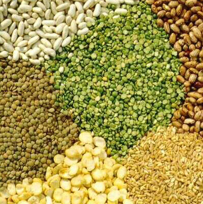 Legumes and potatoes
