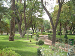Entra