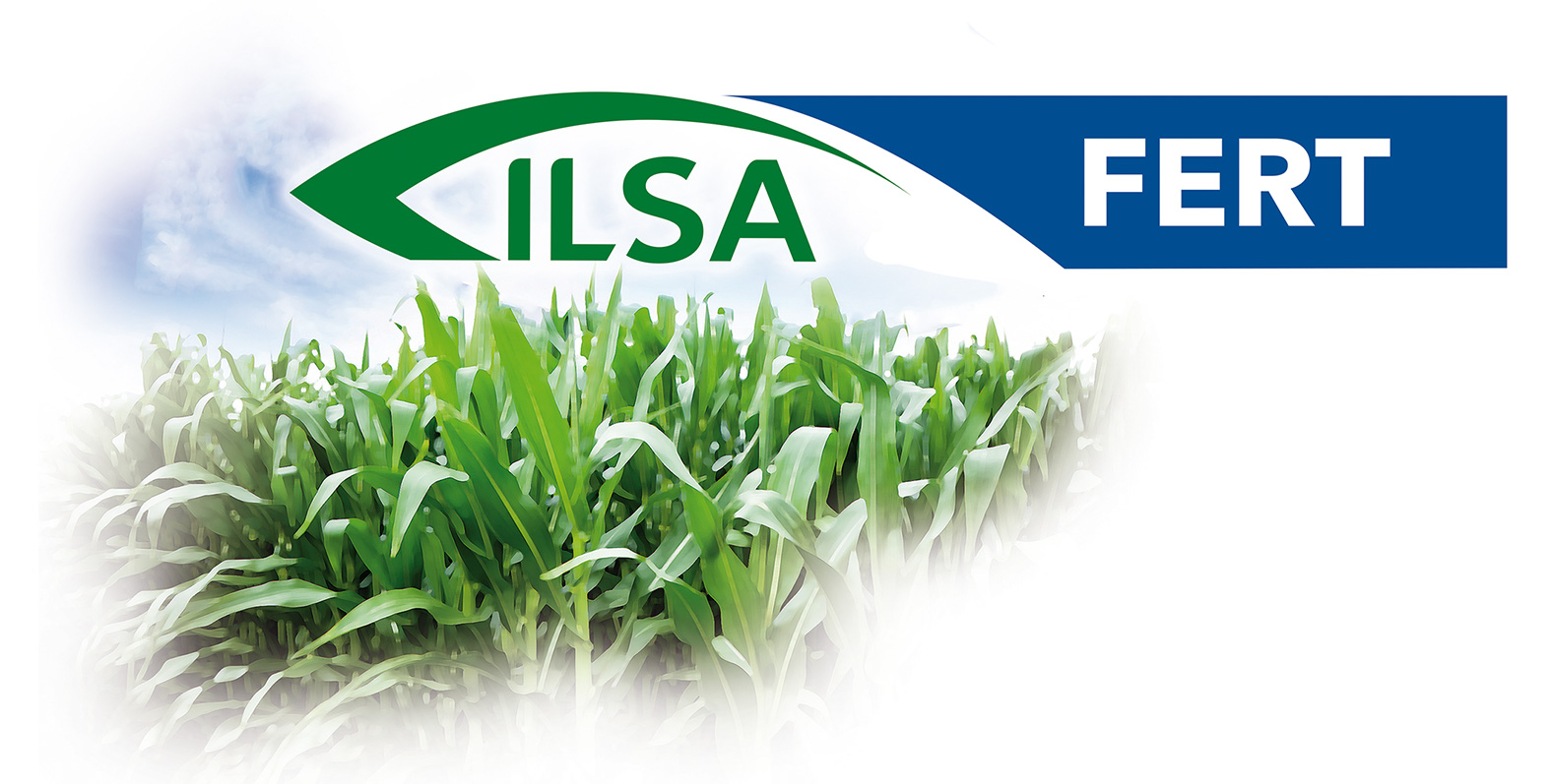 LINEA ILSAFERT